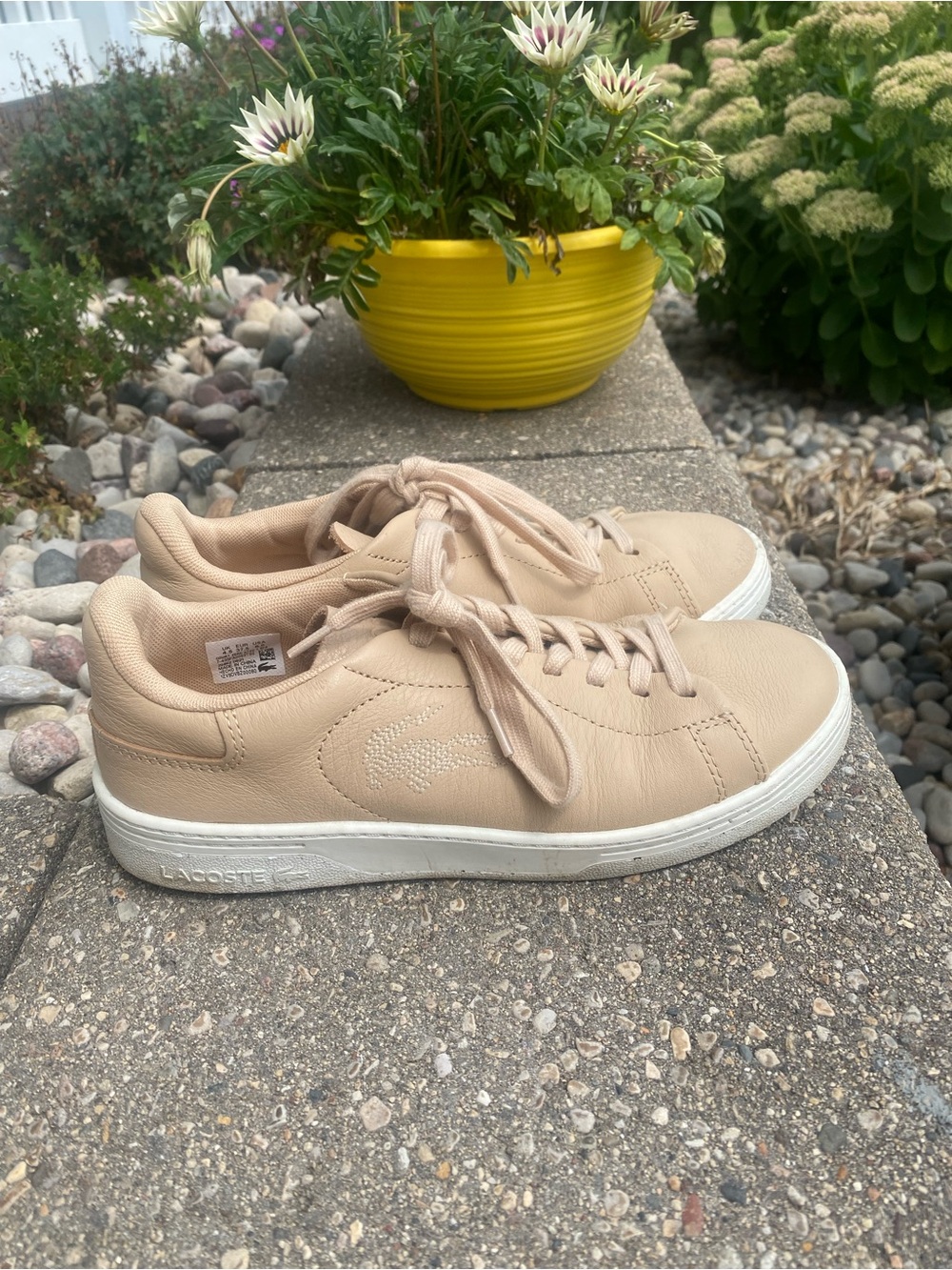 🌈 Lacoste Beige Leather Low-Top Sneakers